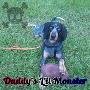 Meet your Posher, Jeff